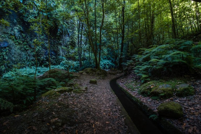 Eco-Friendly Outdoor Travel: Sustainable Practices for Conscious Explorers