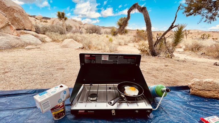 Embracing Nature: The Joys of Backpacking on a Budget